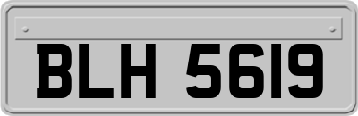 BLH5619
