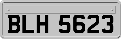 BLH5623