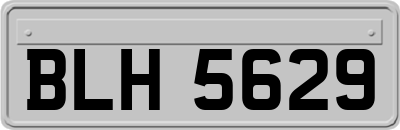 BLH5629