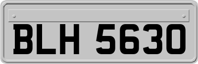 BLH5630