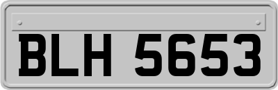 BLH5653