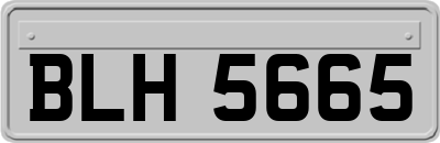 BLH5665