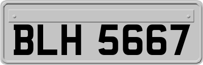 BLH5667