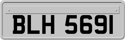 BLH5691