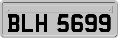 BLH5699