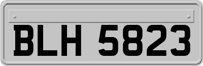 BLH5823