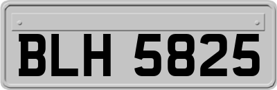 BLH5825