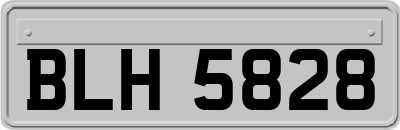 BLH5828