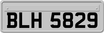 BLH5829