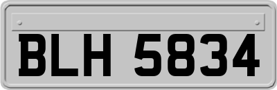 BLH5834