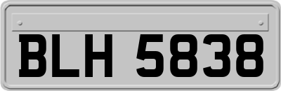 BLH5838