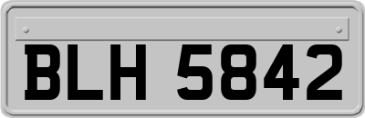 BLH5842