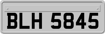 BLH5845