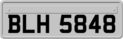 BLH5848