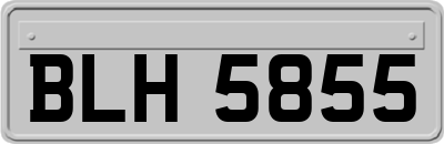 BLH5855