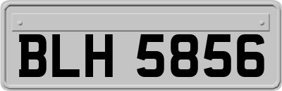 BLH5856
