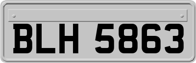 BLH5863