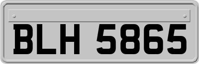 BLH5865