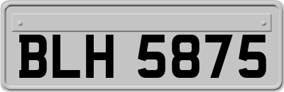 BLH5875