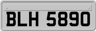 BLH5890
