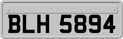 BLH5894