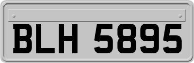 BLH5895