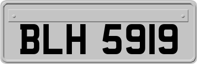 BLH5919