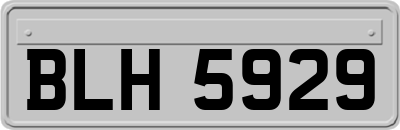 BLH5929
