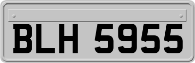 BLH5955