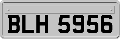 BLH5956