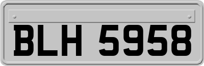 BLH5958
