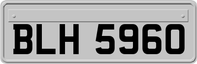 BLH5960