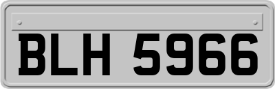 BLH5966