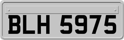 BLH5975
