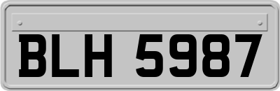 BLH5987
