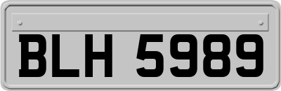 BLH5989