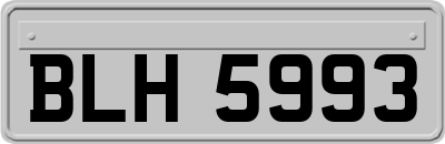 BLH5993