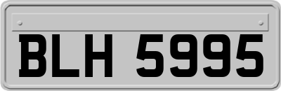 BLH5995