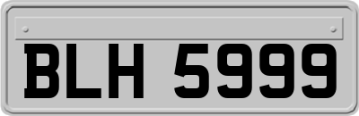 BLH5999