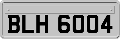 BLH6004