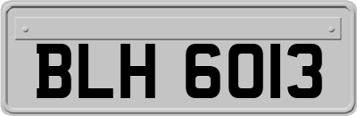 BLH6013