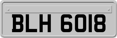 BLH6018