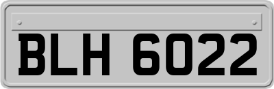 BLH6022