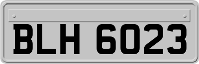 BLH6023