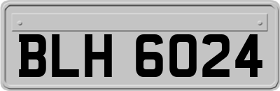 BLH6024