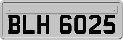 BLH6025