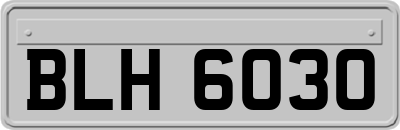 BLH6030
