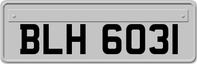 BLH6031