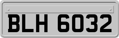 BLH6032