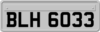 BLH6033